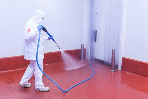 Best Building Exterior Washing  in Noblesville, IN